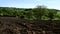 Farmland in Yorkshire with ploughed furrows of soil