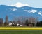 Farmlands with daffodil fields in Washington state, USA
