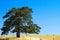 Farmlands, Goldendale, WA