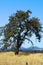 Farmlands, Goldendale, WA