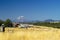 Farmlands, Goldendale, WA