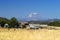 Farmlands, Goldendale, WA