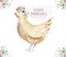 Farms animal isolated set. Cute domestic farm pets watercolor illustration. Chiken cartoon drawing.