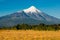 Farms with cows at the foots of Osorno Volcano on the shores of Lake LLanquihue