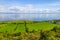 Farms with cows and horses in Burren way trail with Galway bay