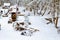 Farms and Farmhouses in the Snow. Windmill. Agriculture and Rural Life at Winter Background.