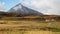 Farms in Iceland