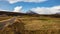 Farms in Iceland