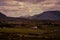 Farms in a Valley in County Mayo