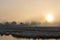 Farms on Winter Morning near Giethoorn