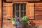 Farmstead window of an old rustic wooden house with flower box