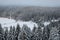 A farmstead in winter on the edge of an endless forest