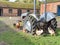 Farmyard chickens by an old farm tractor