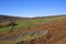 Farndale landscape