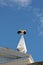 Faro Portugal. Stork on a church spire with wings unfolded.