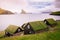 Faroe Islands, Europe. Grass roofs and fjord