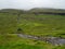 Faroe Islands. Green fields of grass, cut by rivers and small waterfalls.