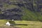 Faroe islands green landscape. Saksun village with picturesque church