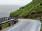 Faroe Islands. Road between green fields. In the background sheeps climbing the slope.