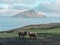 Faroe Islands - sheep and mountains