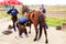 Farrier performing maintenance on old horseshoe for horse hoof