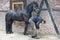 Farrier preparing hoof, Blacksmith at Work, Farrier preparing hoof of beautiful black horse, Horseshoer