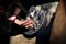 Farrier taking off the nail from horseshoe on a hoof