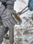 Farrier used cutting pliers for removing horse shoe from legs