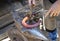 Farrier works in a field