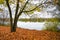 Fasaneriesee near Munich. Landscape at the lake in autumn