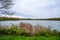 Fasaneriesee near Munich. Landscape at the lake in autumn