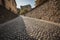 fascinating detail of a cobblestone pathway leading to a castle