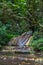 Fascinating journey through the valley of waterfalls in the boxwood forest, Krasnodar region, Russia