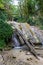 Fascinating journey through the valley of waterfalls in the boxwood forest, Krasnodar region, Russia