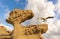 Fascinating sandstone rock in Bolnuevo. A seagull lands.