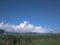 A fascinating seasonal panoramic view of green fields of sugarcane crops