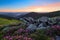 Fascinating sunrise. Scenery with high mountains. Pink rhododendrons among grey stones. Nice view for nature lovers.