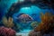The fascinating underwater world on the island, animals, marine life