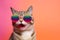 fashion animal sunglasses funny cute portrait pet colourful cat neon. Generative AI.