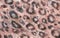fashion animalistic seamless pattern painted in watercolor with leopard skin