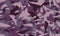 Fashion camouflage seamless background. Trendy geometric camo pattern in purple and burgundy.