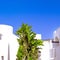 Fashion Canarian minimal geometry house and palm tree. Travel aesthetic stylish concept