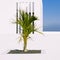 Fashion Canarian minimal house location and palm tree. Travel aesthetic stylish concept