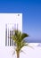 Fashion Canarian minimal location and palm tree. Travel aesthetic stylish wallpaper