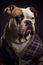 Fashion creative portrait of bulldog dog wearing casual clothes , generative AI