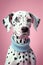 Fashion creative portrait of dalmatian dog wearing elegant clothes , pastel colors,  generative AI