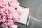 Fashion feminine blogger concept. Feminine workspace with notebook, clipboard, paper, pink peony, eucalyptus flower on marble