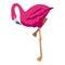 Fashion flamingo icon isometric vector. Funny bird