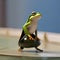 A fashion-forward frog in trendy attire, strutting down a catwalk at a fashion show4