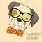 Fashion Hand Drawing Illustration of Dog in Glasses and Bow Tie. Hipster look. Retro vintage style. Doodle style